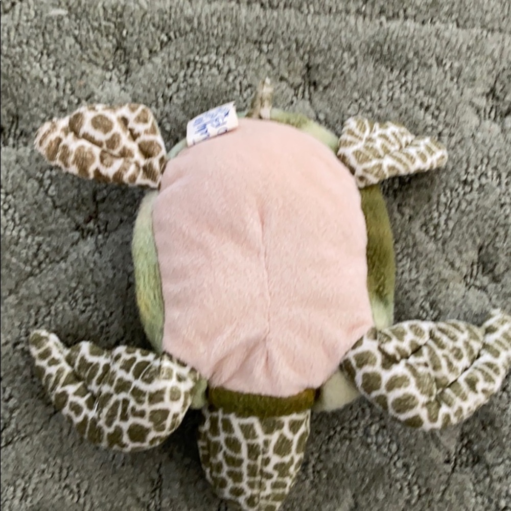 Cute turtle - Picture 2 of 4